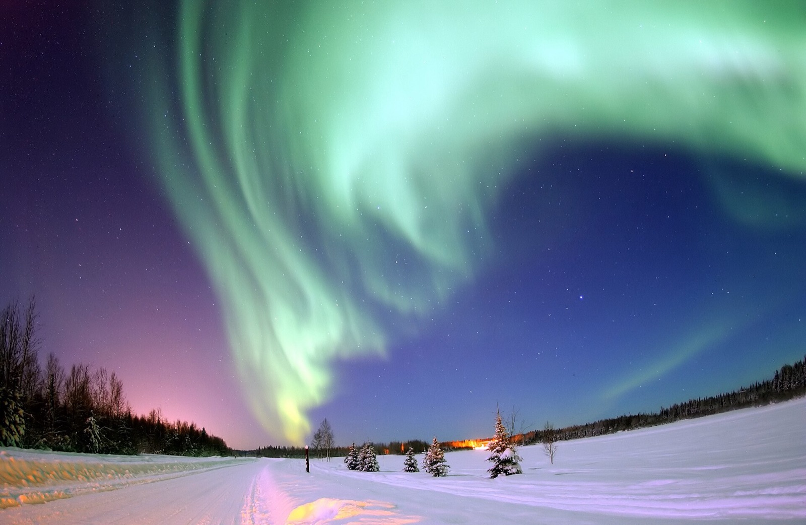 Green and purple aurora curtain over a snowy lake edged with spruce trees.