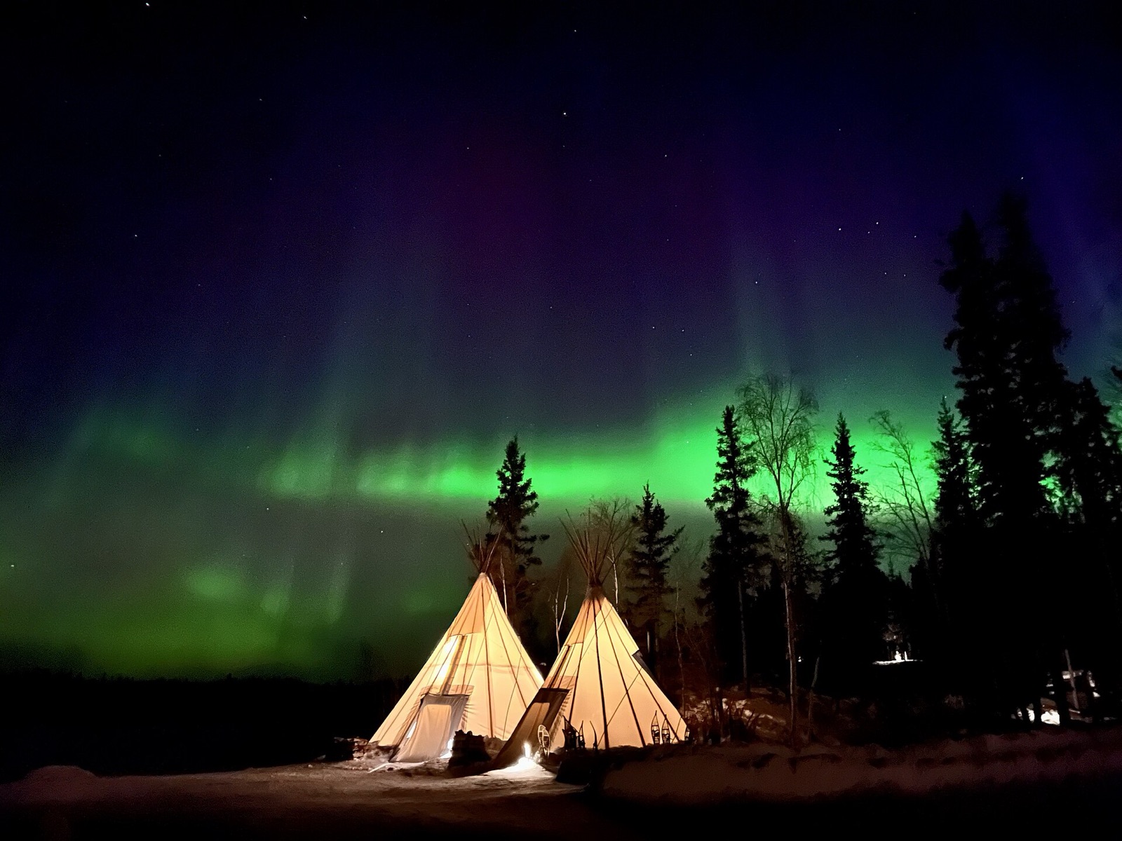 Green and purple aurora above three lit teepees and spruce trees on a snowy night.